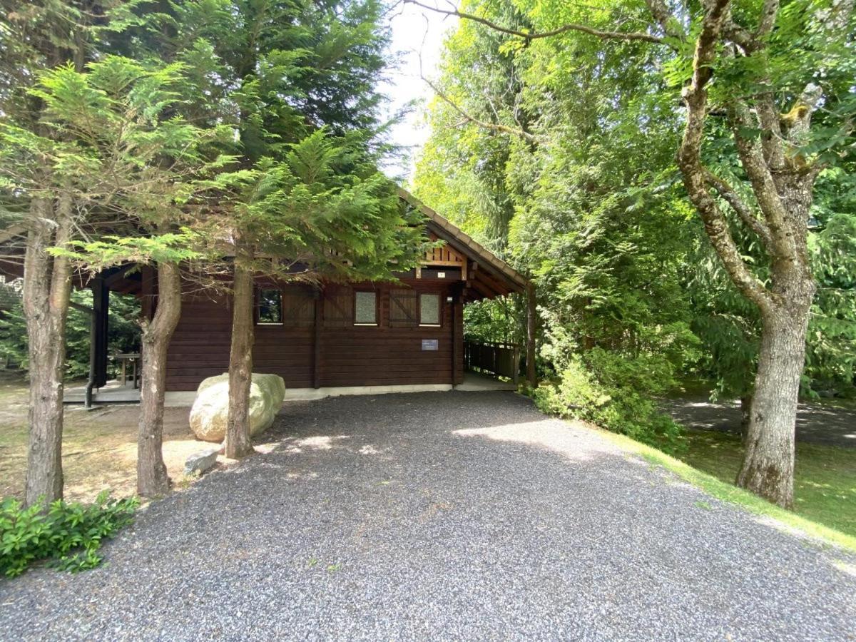 Le Renard, Chalet indépandant en bois La Bresse Exterior foto